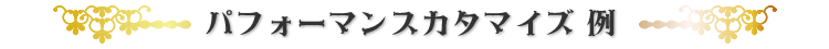 パフォーマンス カスタマイズ サービス